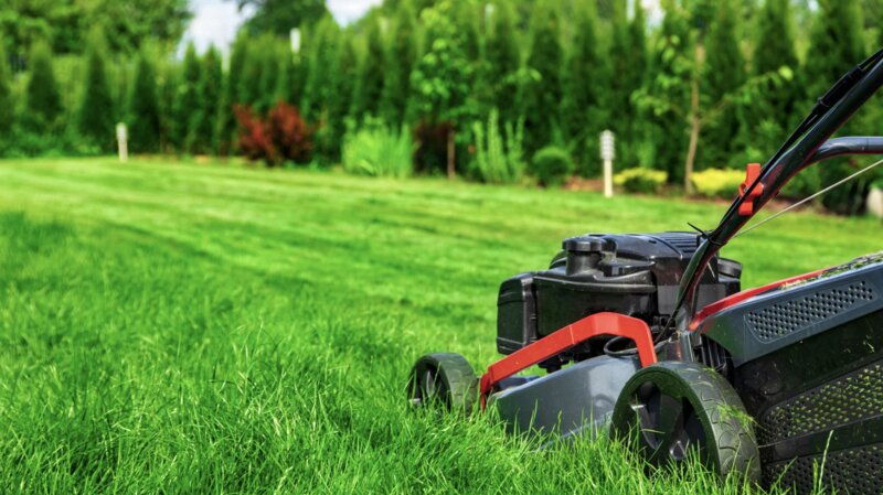 Prep Your Lawn Like a Pro: Spring Lawn Care Tips For a Greener Summer Image